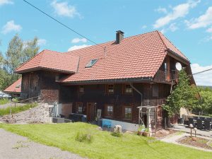 Bauernhof mit Pferdestallung