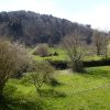 Grundstück in Wildtal