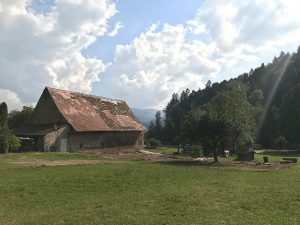 Hof-Scheune in Freiburg-Ebnet