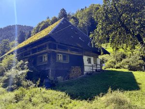 Original Schwarzwälder Bauernhof