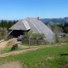 Idyllisch gelegener Schwarzwaldhof – hoch oben über´m Dreisamtal!