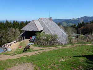 Idyllisch gelegener Schwarzwaldhof – hoch oben über´m Dreisamtal!