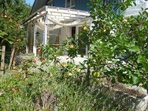 Wohnung in Oberried