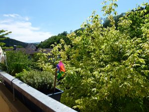 Wohnen in Buchenbach Ortsteil Unteribental