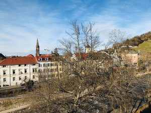 Wohnung in der Wiehre